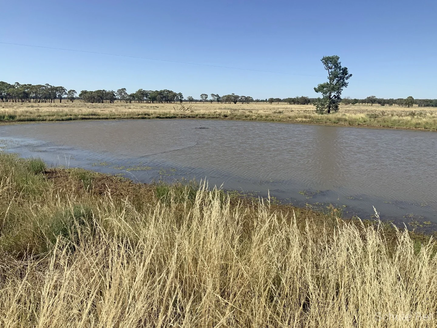 703 Yethera Road, Tullamore NSW 2874