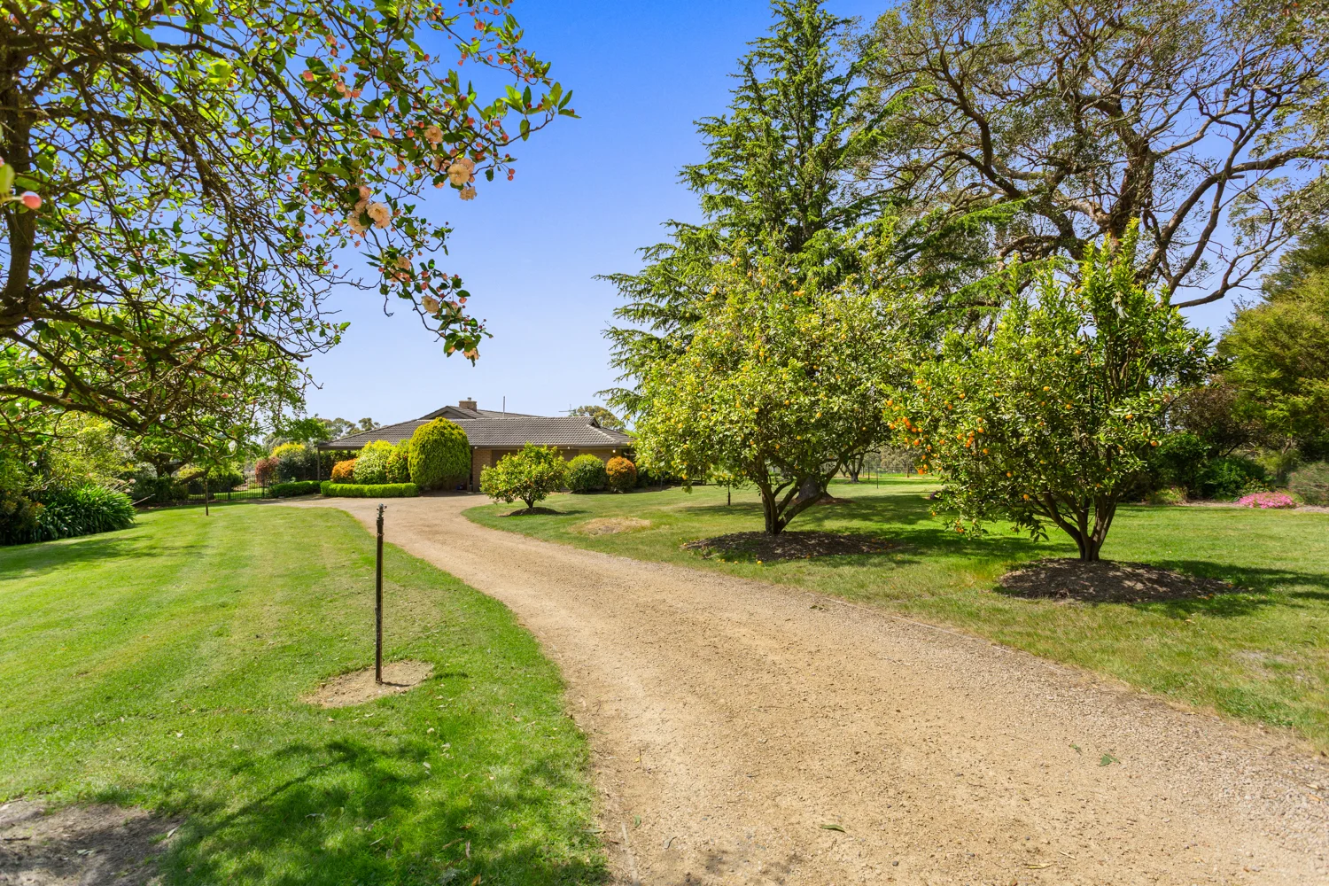 Additional image 21 of 345 Mt Lyall Road, Nyora VIC 3987