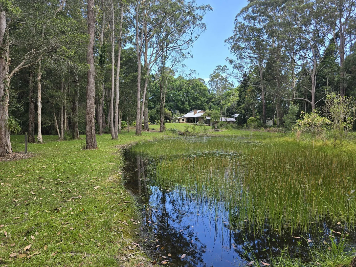 Additional image 20 of 145-159 Archville Station Rd, Bonville NSW 2450