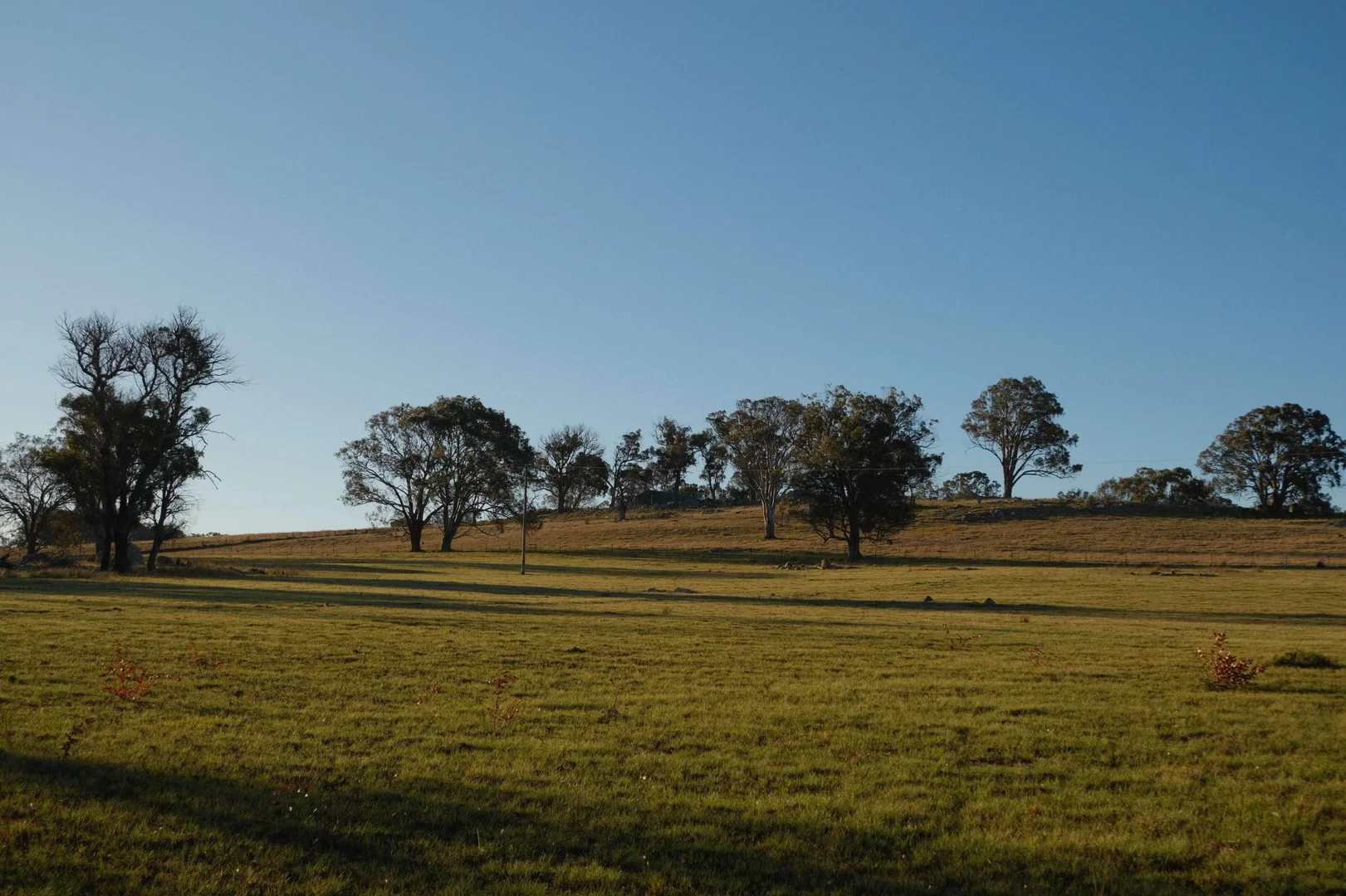 Additional image 5 of Tenterfield NSW 2372