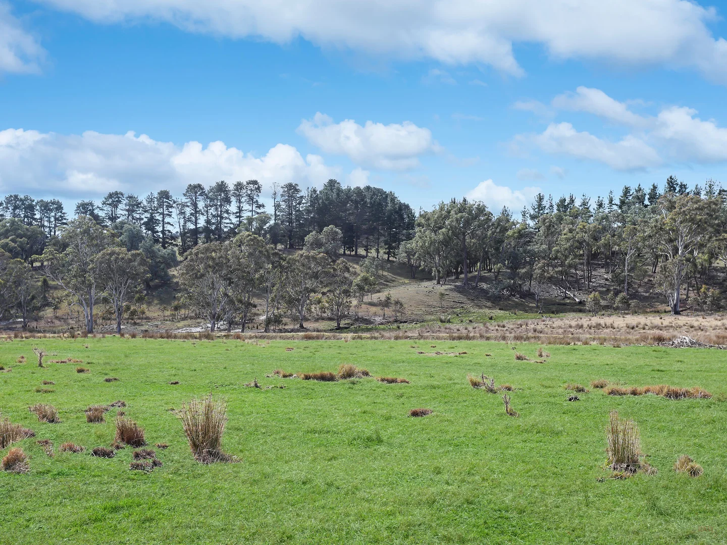 Additional image 35 of 551 Inverary Road, Paddys River NSW 2577