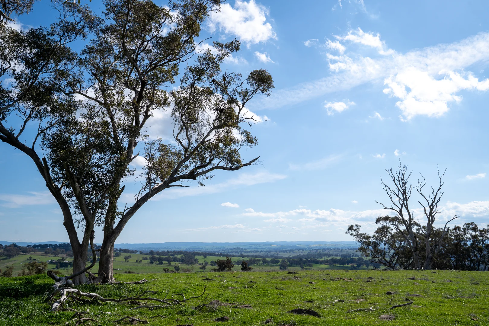 Additional image 6 of 289 Paling Yards Loop, Bowan Park NSW 2864
