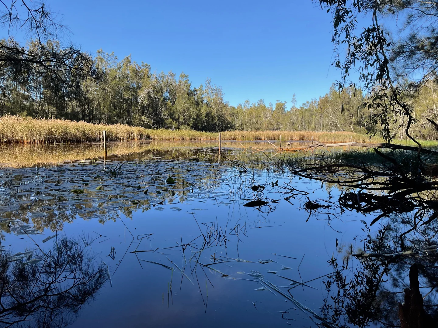 Additional image 28 of Ashby NSW 2463