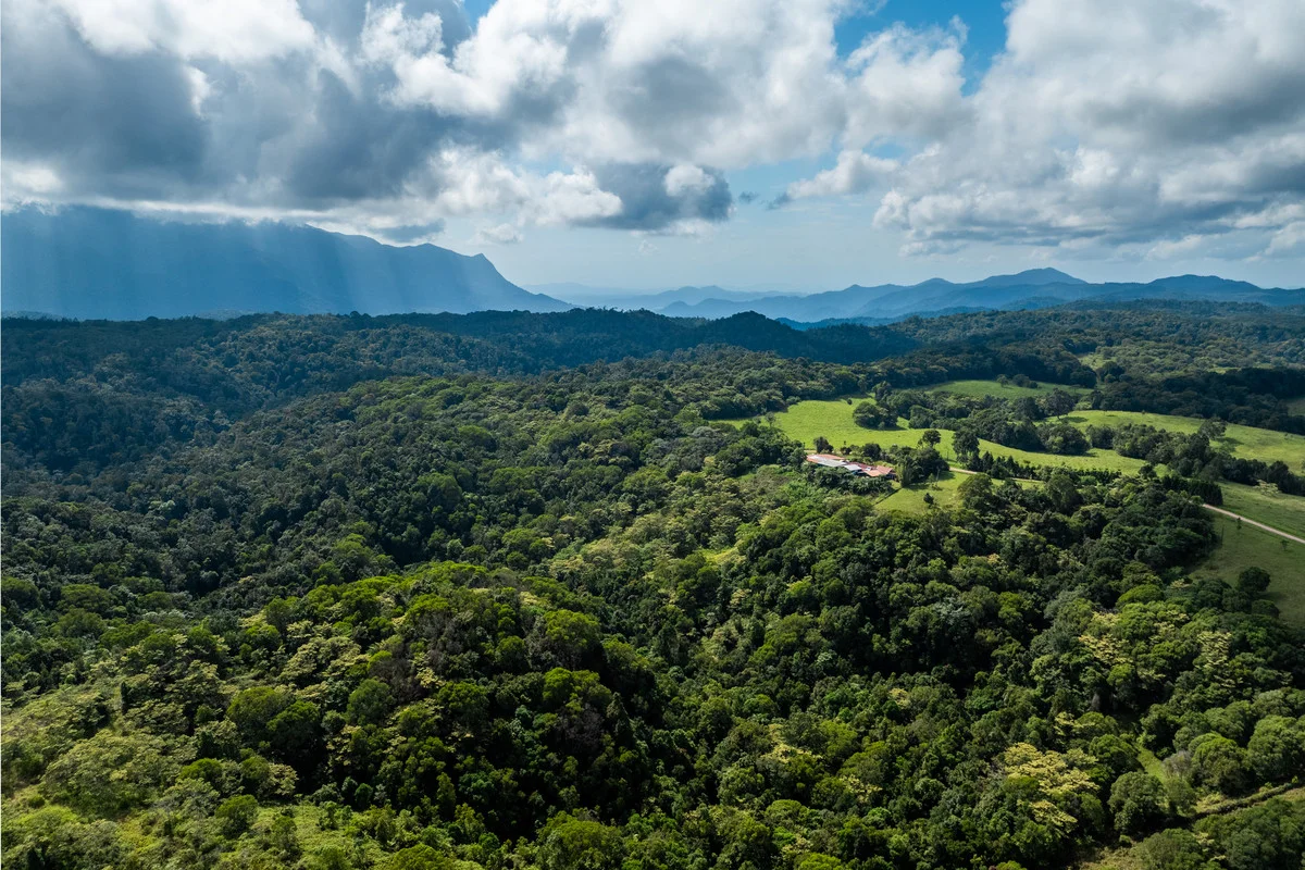 Additional image 32 of 69 Wairambar Creek Road, Topaz QLD 4885