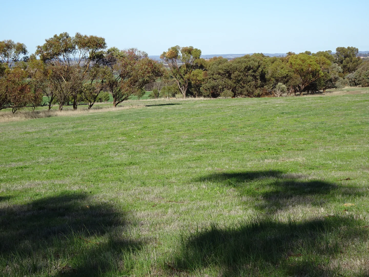 Additional image 24 of Shaddick Road, East Pingelly WA 6308