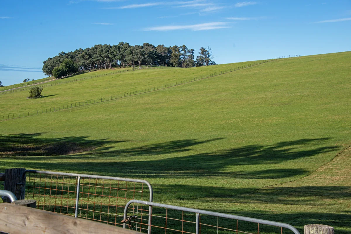 Additional image 5 of 162 Baines Road, Mossiface VIC 3885