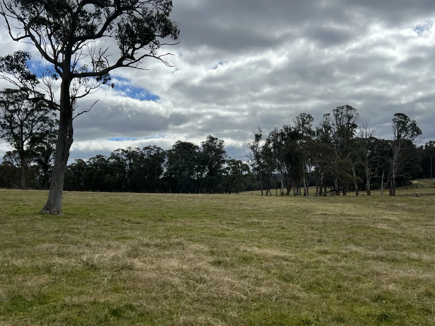 Additional image 11 of * Coopers Road, Red Range NSW 2370