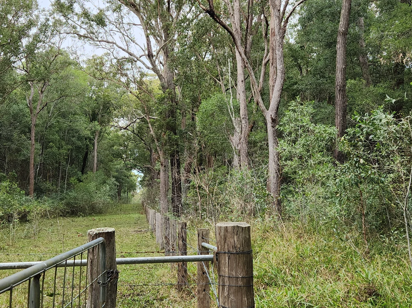 Additional image 8 of 27 Platers Road, Gulmarrad NSW 2463