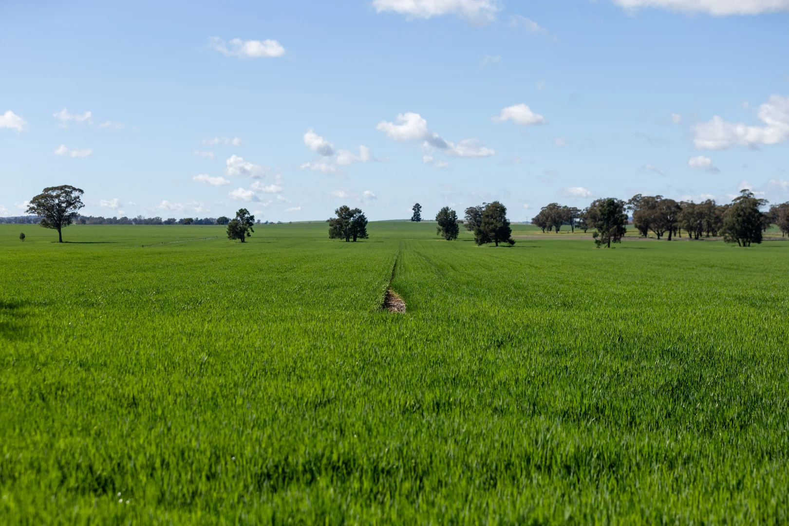 Additional image 7 of 532 Cottee Road, Currawarna NSW 2650