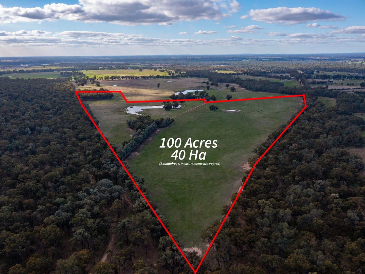 Additional image 16 of 242 Frost Road, Killawarra VIC 3678