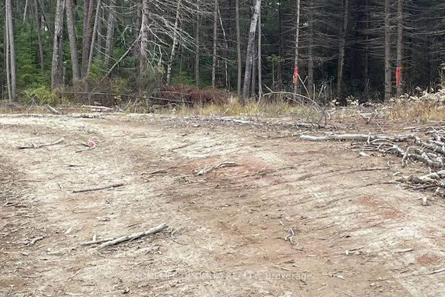 Additional image 2 of Pcl 7576 0