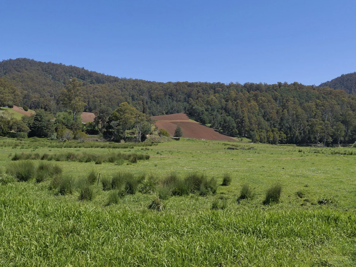 Additional image 7 of 569 St Columba Falls Road, Pyengana TAS 7216