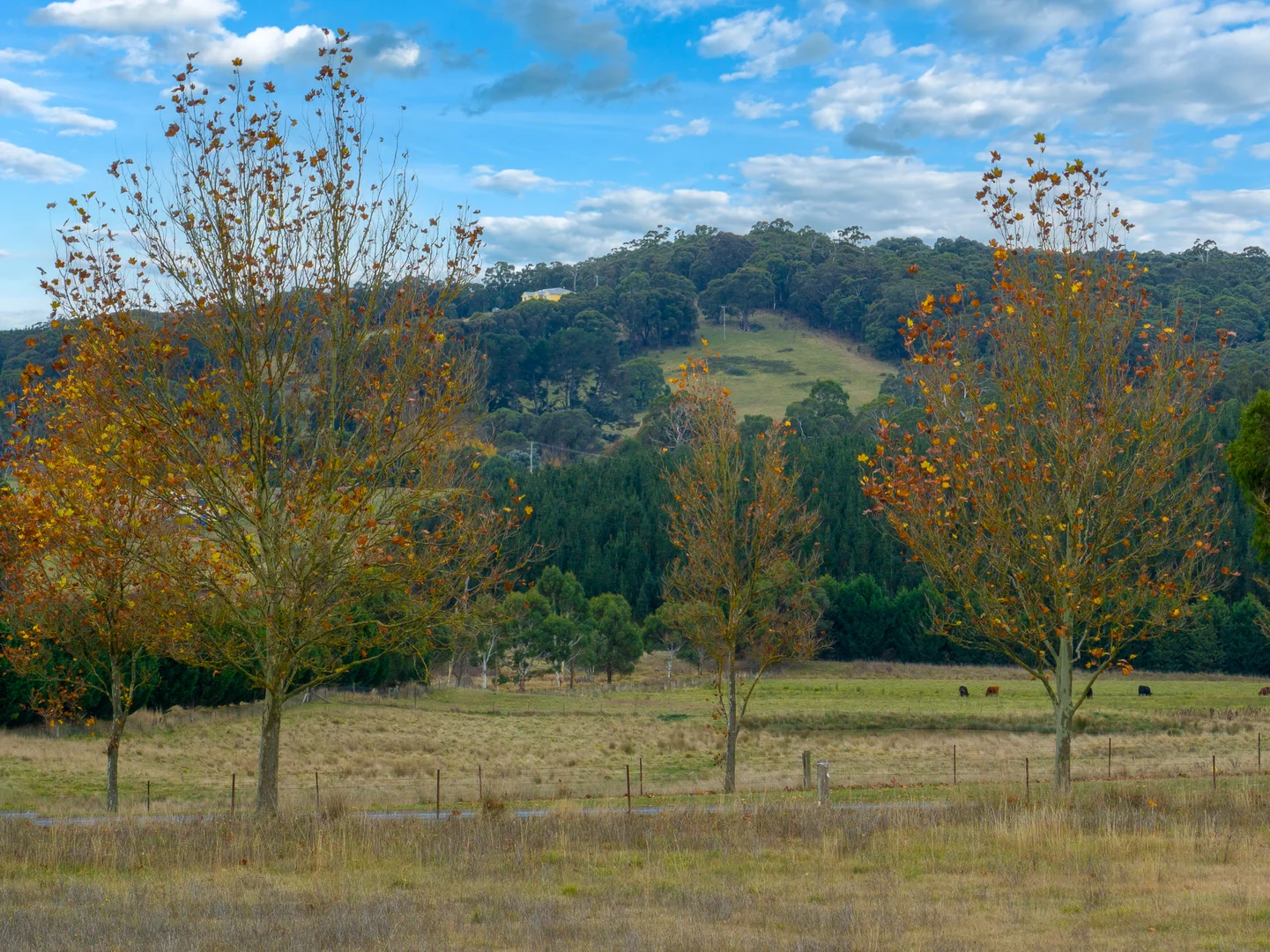 Additional image 12 of 81 Albion Street, Oberon NSW 2787