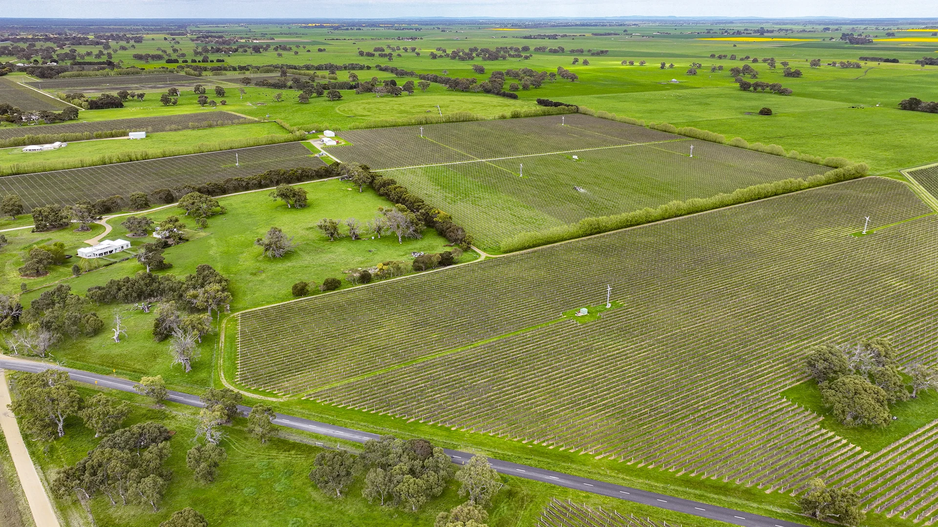 Additional image 19 of LOT 102, Bond Road, Penola SA 5277