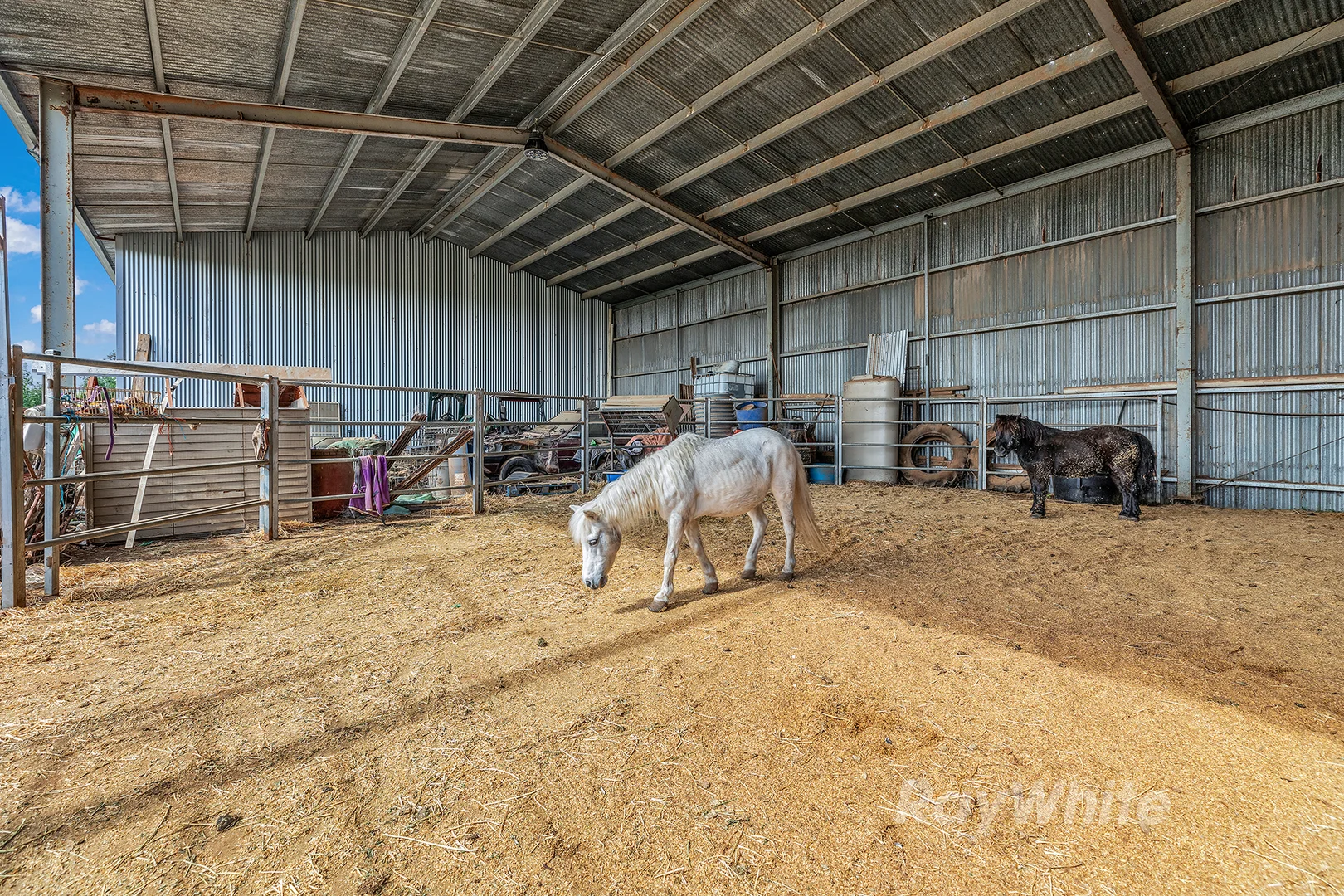 Additional image 28 of 65 Christie Road, Rochester VIC 3561