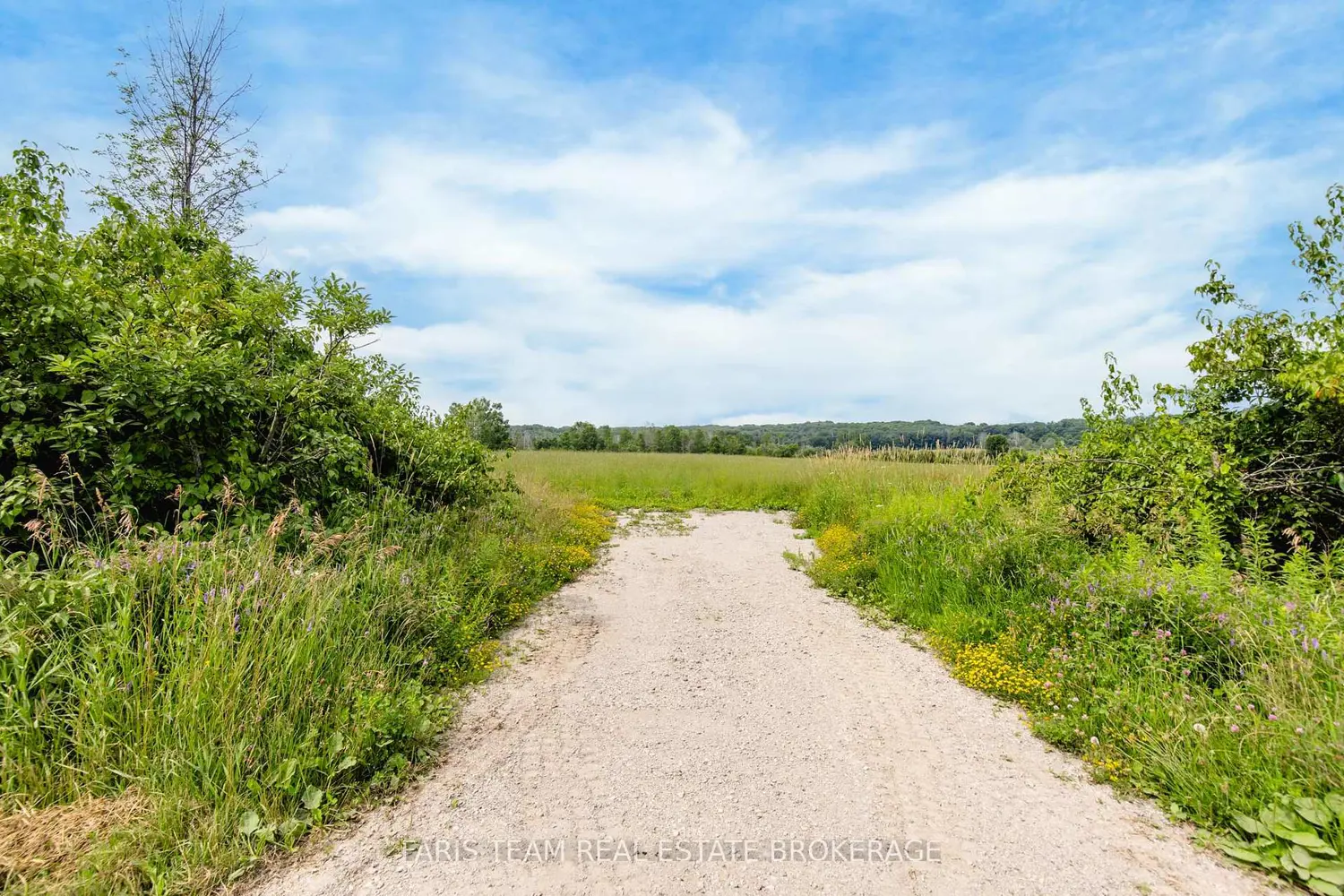 Additional image 5 of 570 Curry Road