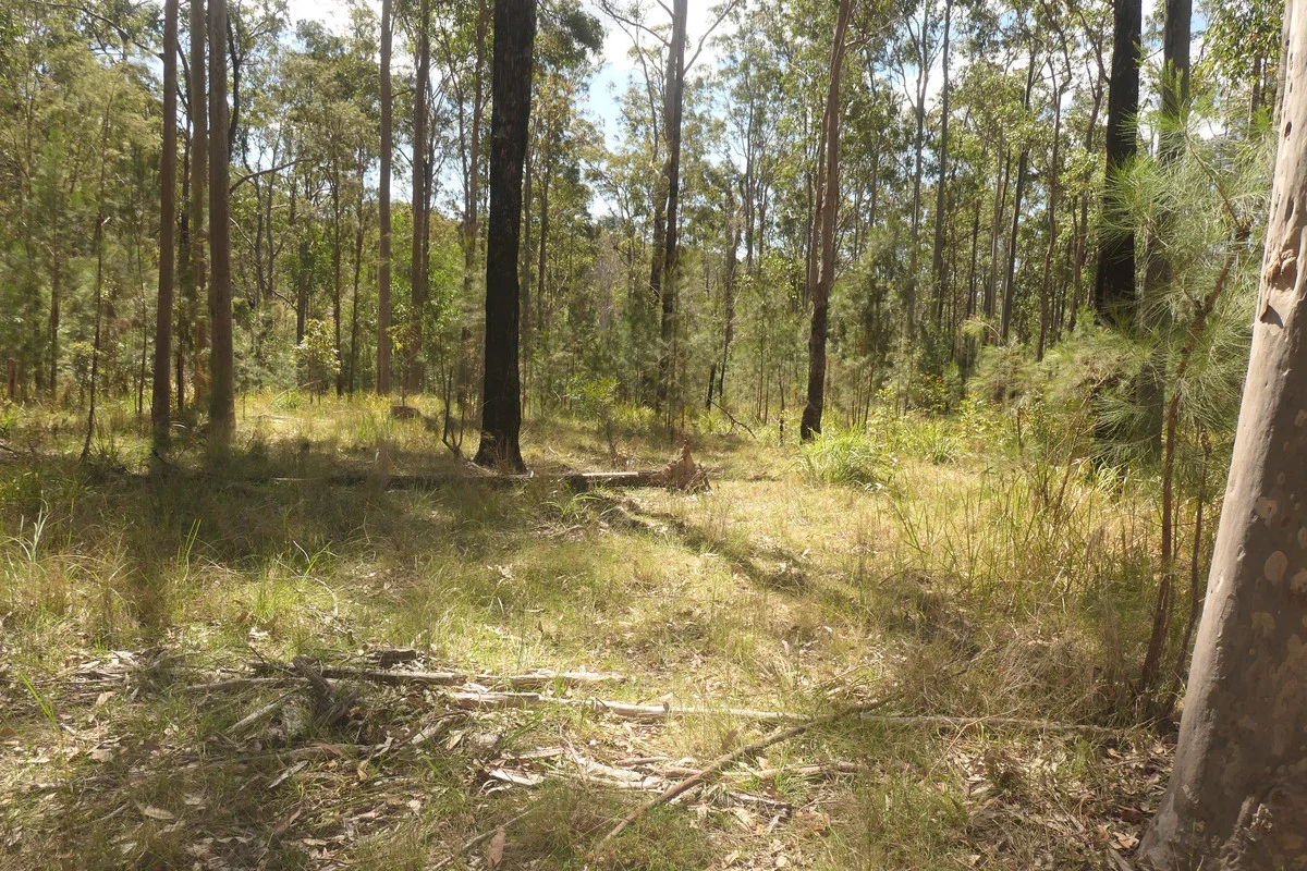 Additional image 30 of Lot 5 Long Gully Road, Drake NSW 2469