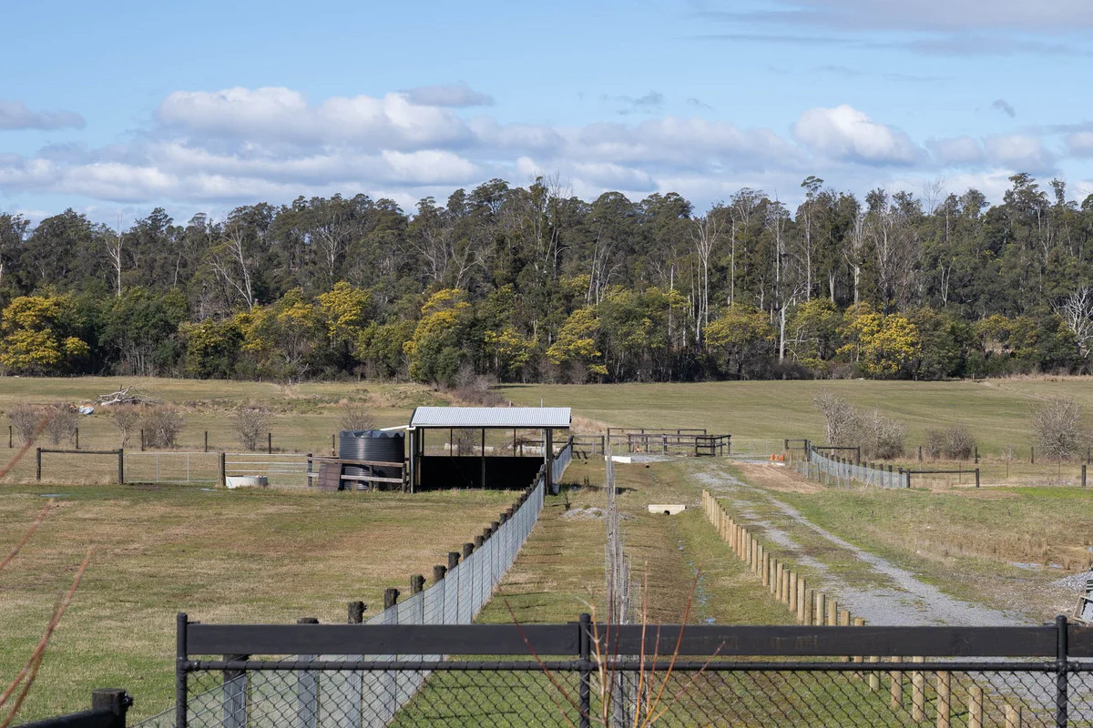 Additional image 22 of 1470 Birralee Road, Birralee TAS 7303