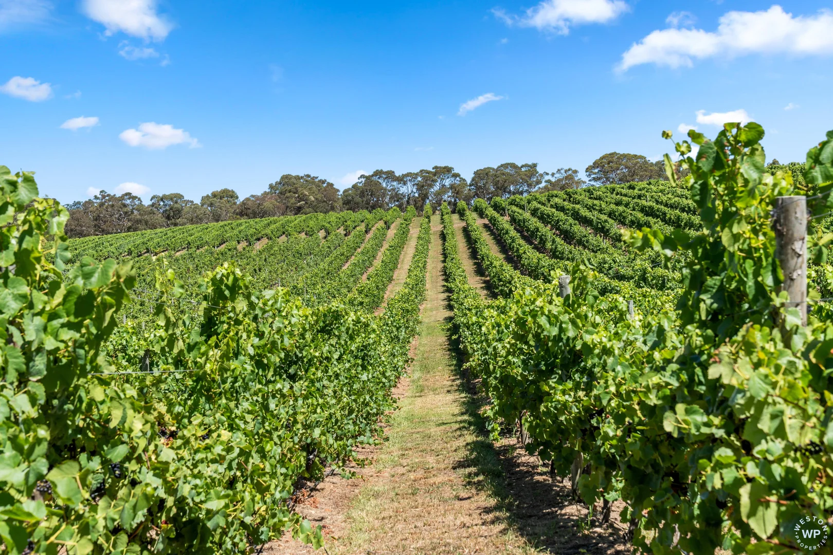 Additional image 21 of 71 Davis Road, Macclesfield SA 5153