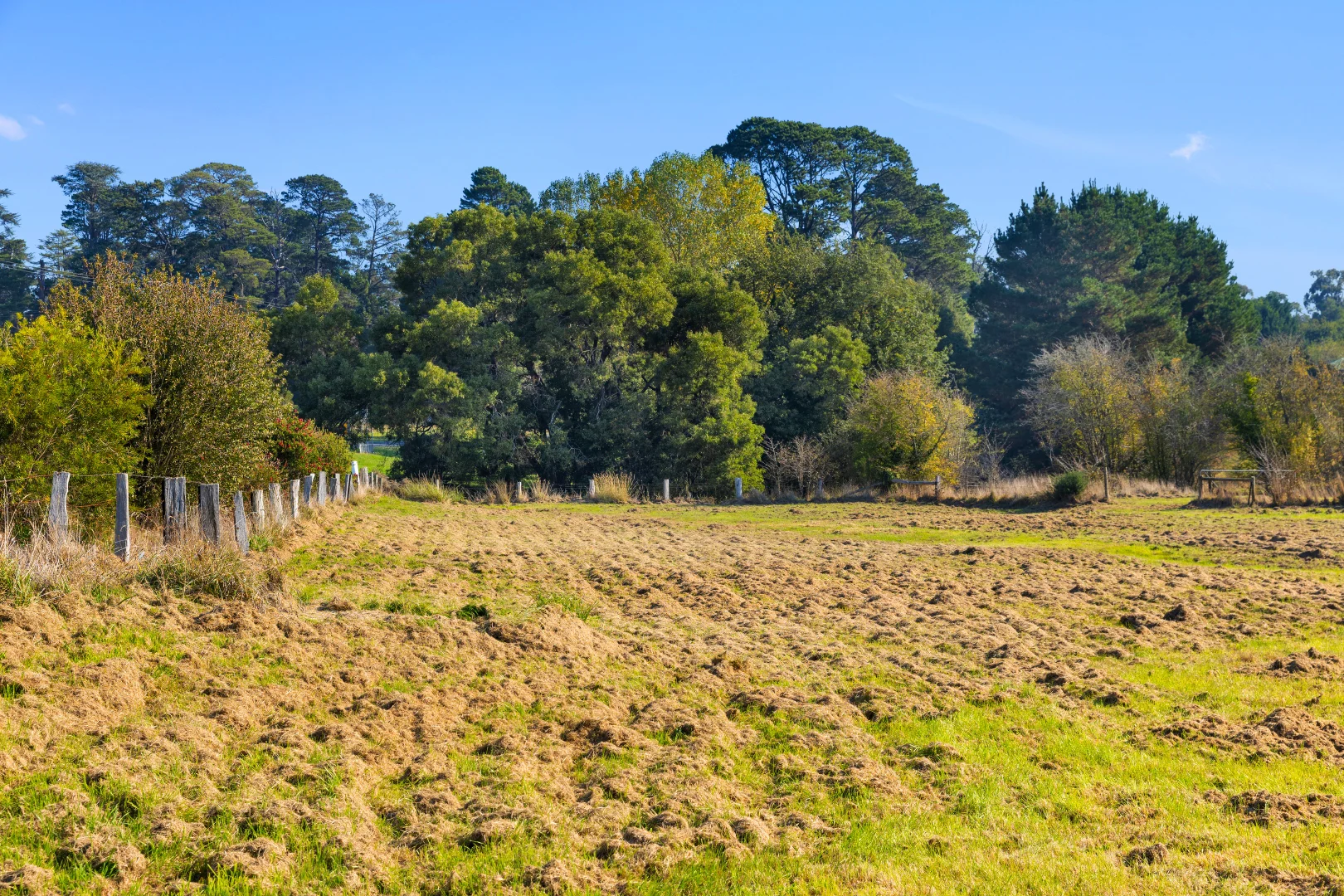 Additional image 9 of 98 Sussex Street, Linton VIC 3360
