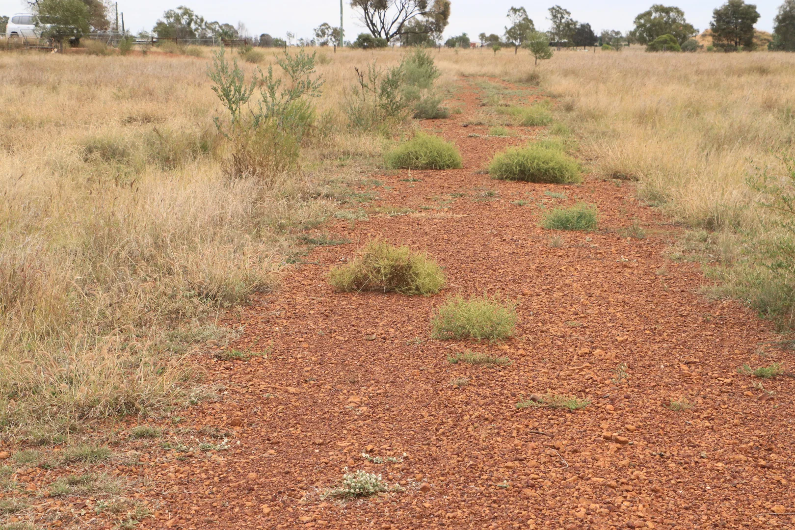 Additional image 18 of Ona Ona Road, Roma QLD 4455