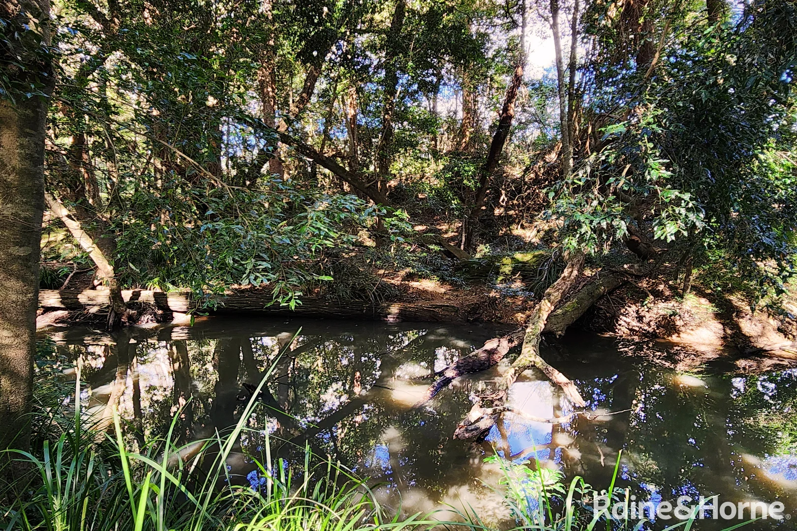 Additional image 12 of 163 Cedar Creek Road, Belli Park QLD 4562