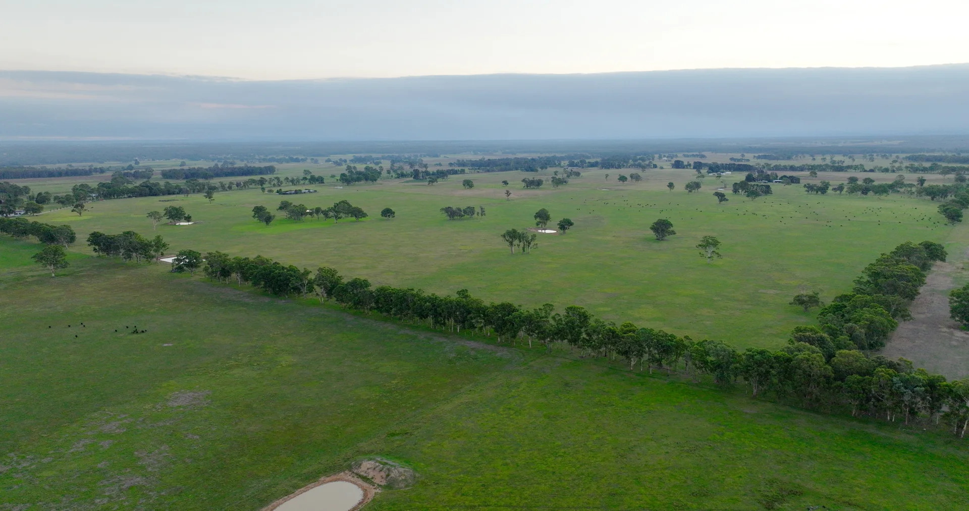 Additional image 10 of 880 Fernbank-Lindenow South Road, Fernbank VIC 3864