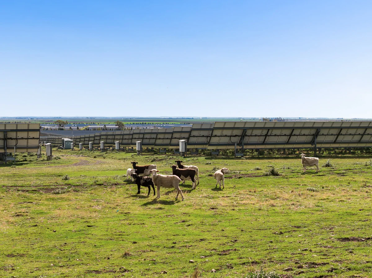 Additional image 3 of 123 Roche Road, Yarranlea QLD 4356