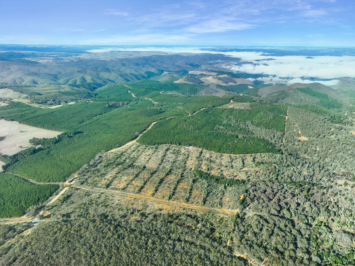 Additional image 4 of 3653 Arkstone Road, Burraga NSW 2795