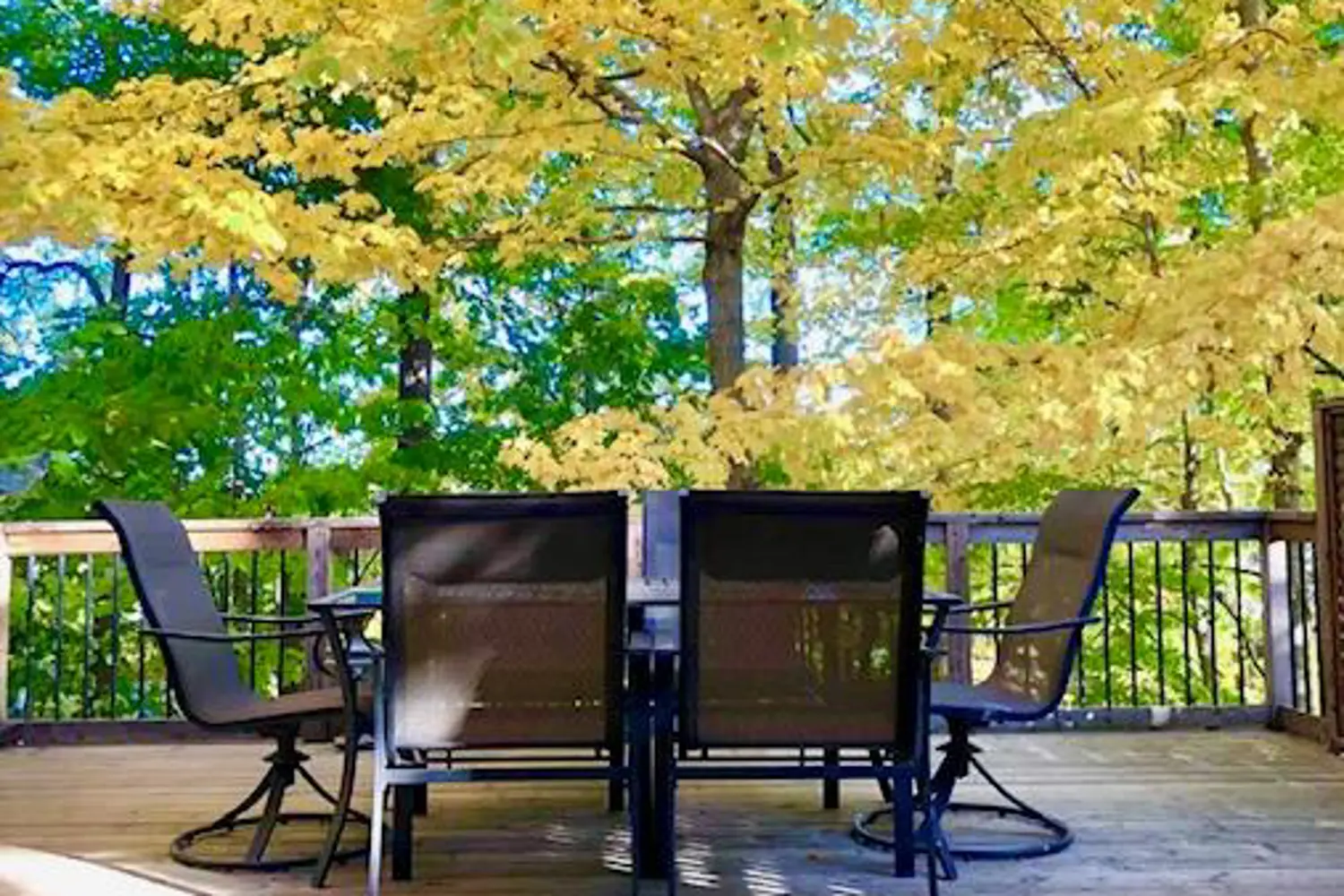 Additional image 3 of 350 Sarnia Road