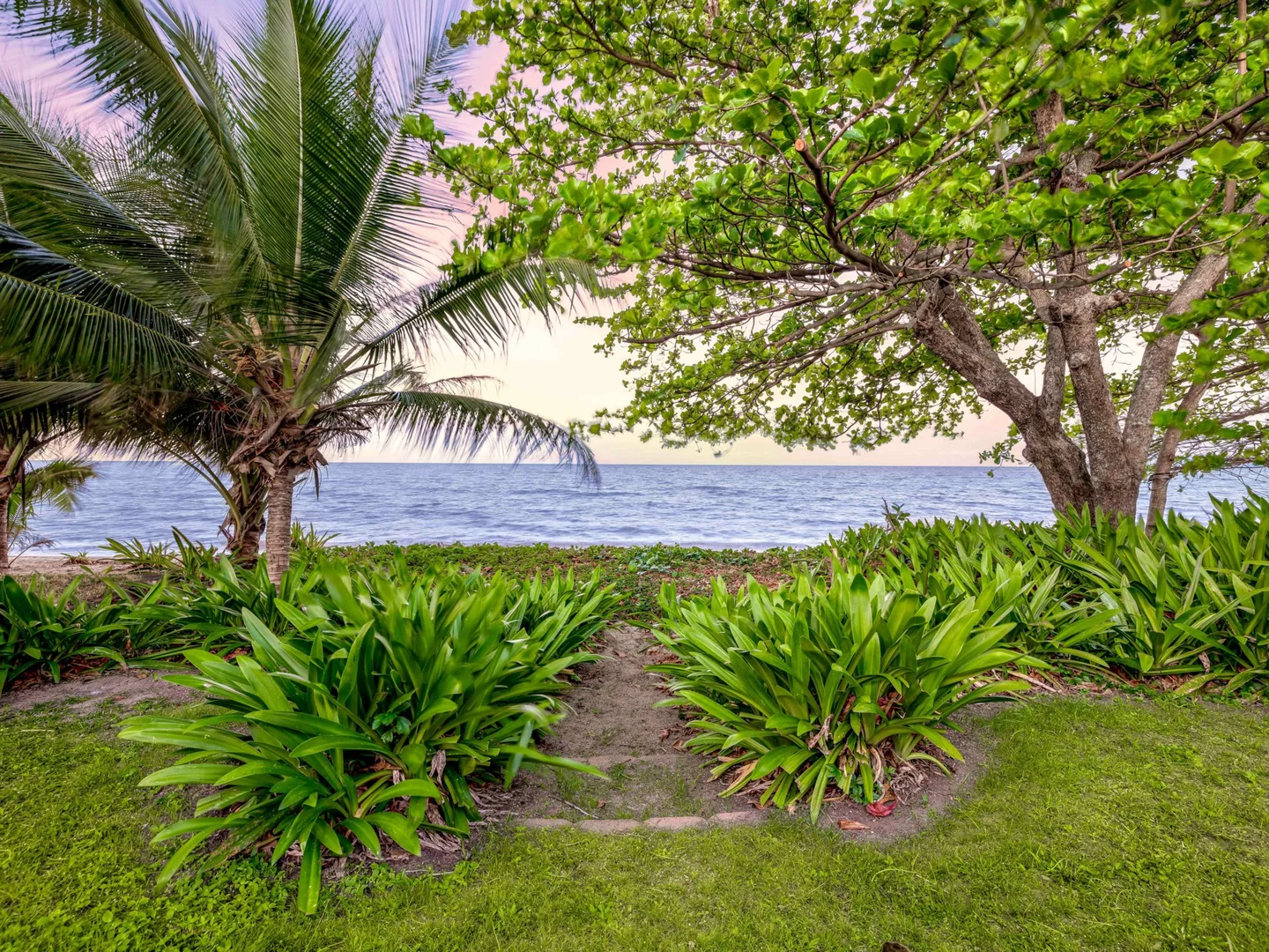 Additional image 17 of 56 Hibiscus Lane, Holloways Beach QLD 4878