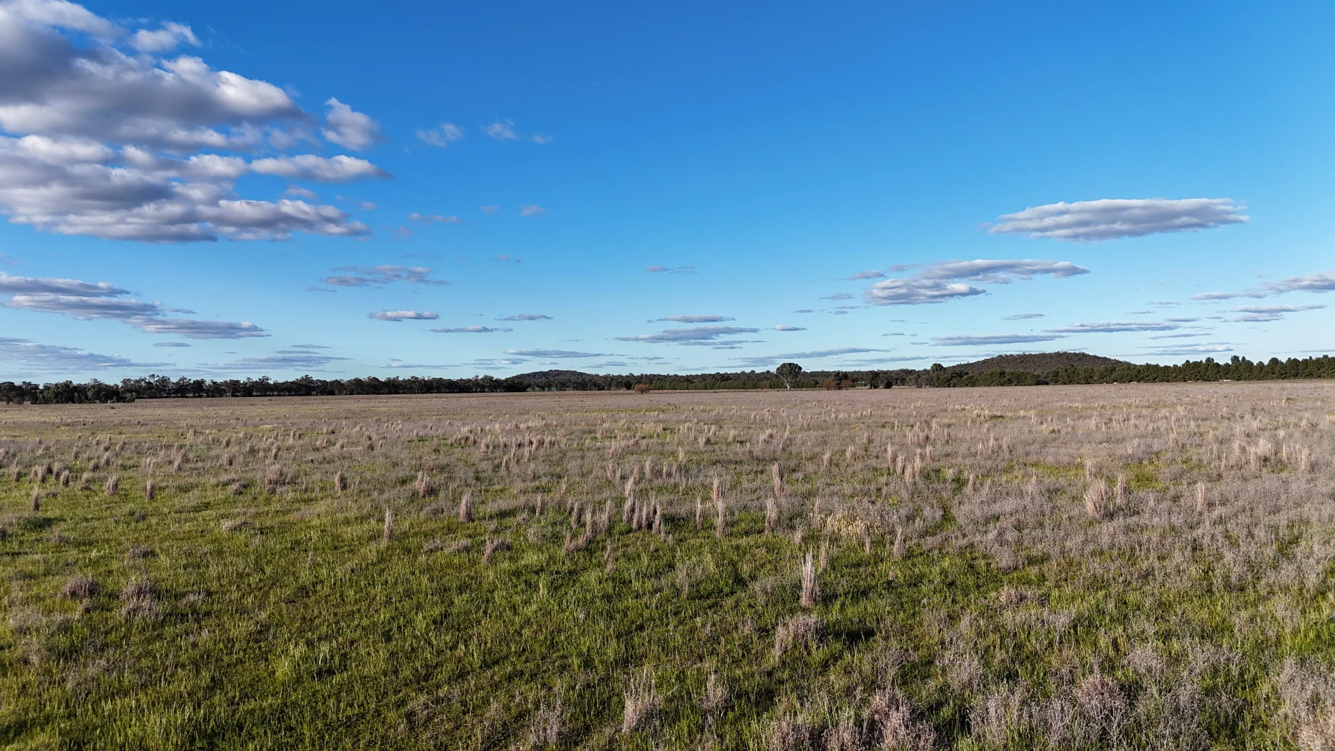 Additional image 58 of 3544 Henry Parkes Way, Bogan Gate NSW 2876