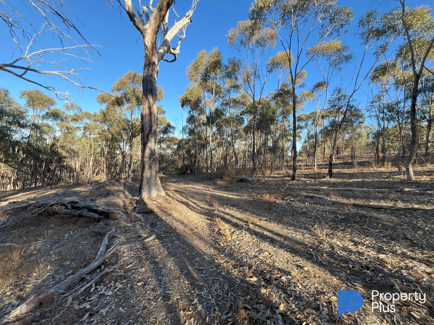 Additional image 16 of 13 Moliagul Drive, Moliagul VIC 3472