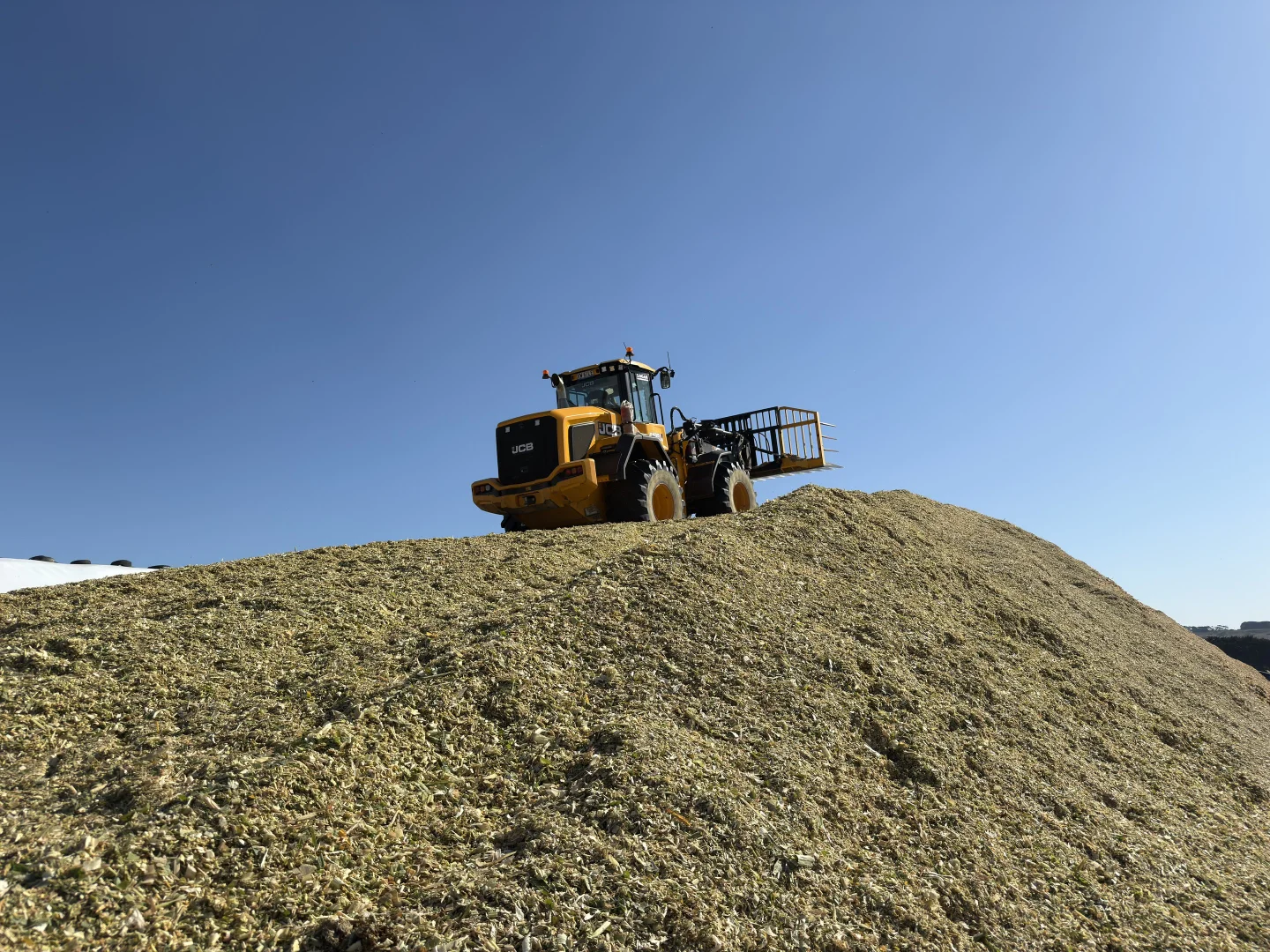 Additional image 16 of 520 Centre Road, Simpson VIC 3266