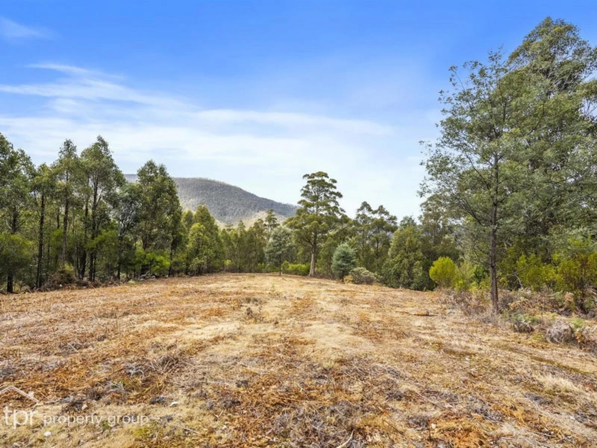 Additional image 8 of Lot 1 Bygraves Road, Crabtree TAS 7109