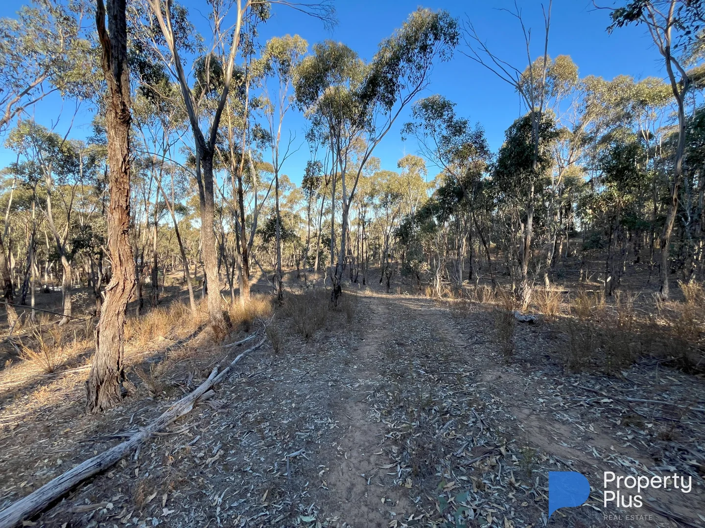 Additional image 15 of 13 Moliagul Drive, Moliagul VIC 3472