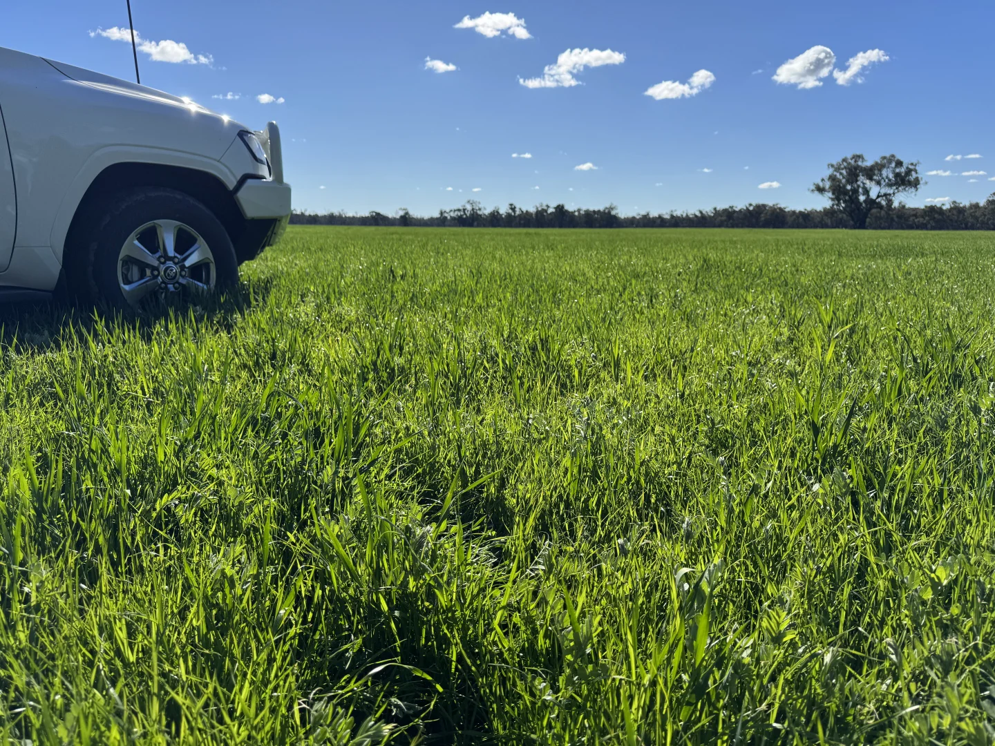 Additional image 18 of 941 Yarraman Road, Bunnaloo NSW 2731