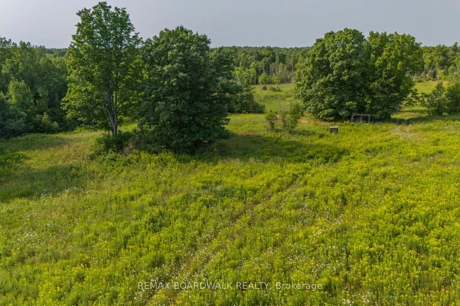 Additional image 15 of 816 Bennett Lake Road