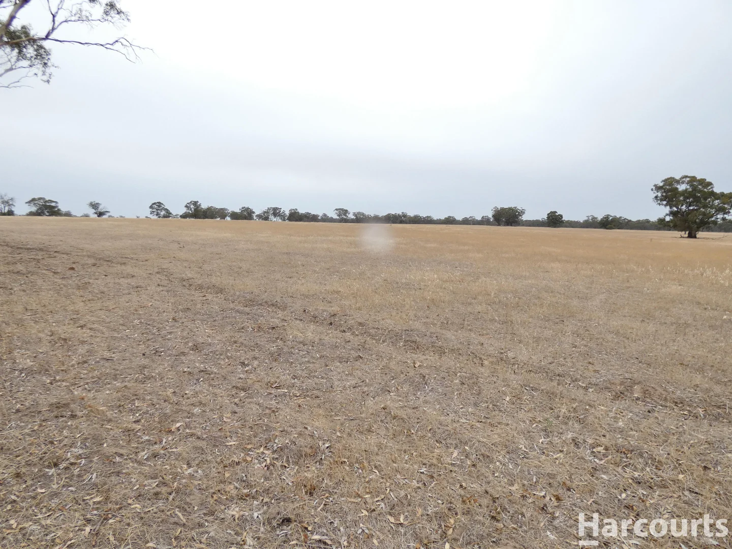 Additional image 26 of . Elliots Lane, Clear Lake VIC 3409