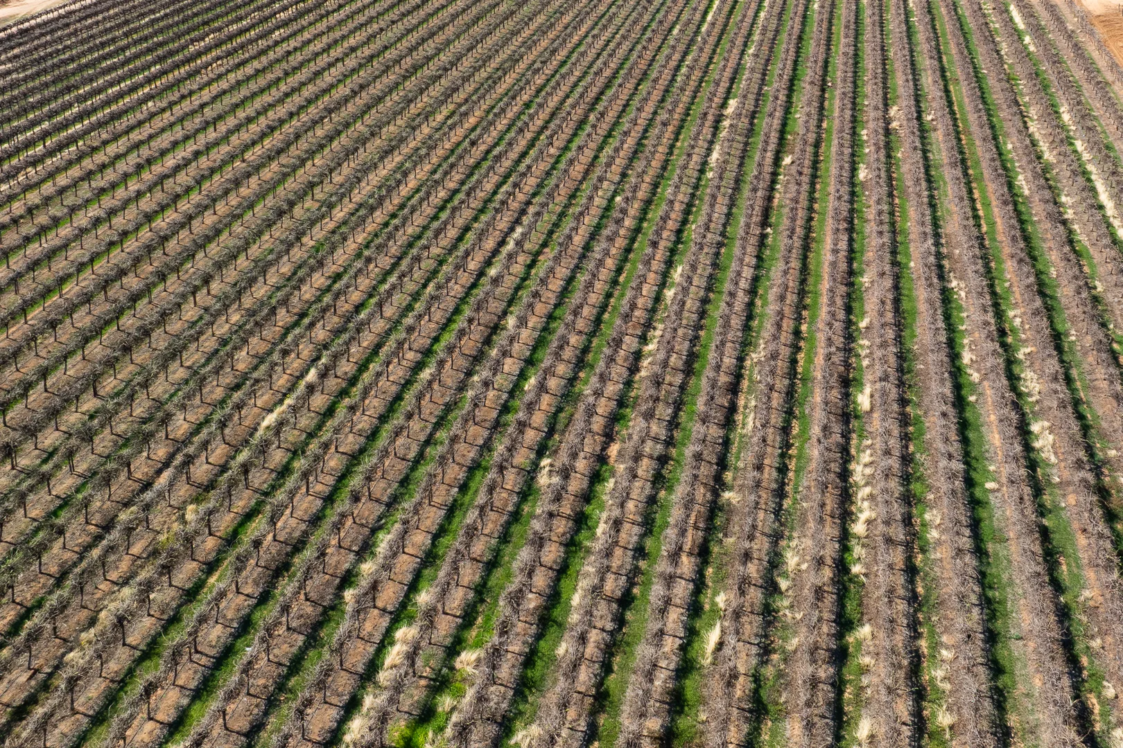 Additional image 36 of 229 Morgan Road, Cobdogla SA 5346