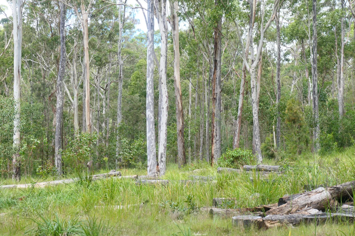 Additional image 9 of Lot 5 Long Gully Road, Drake NSW 2469