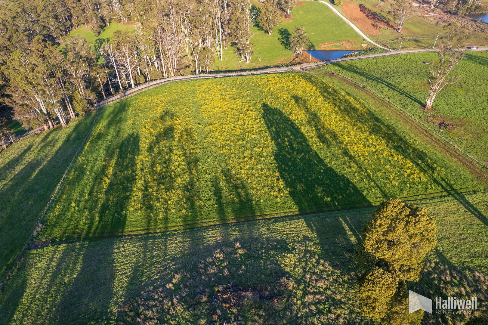 Additional image 8 of Maloneys Road, Sunnyside TAS 7305