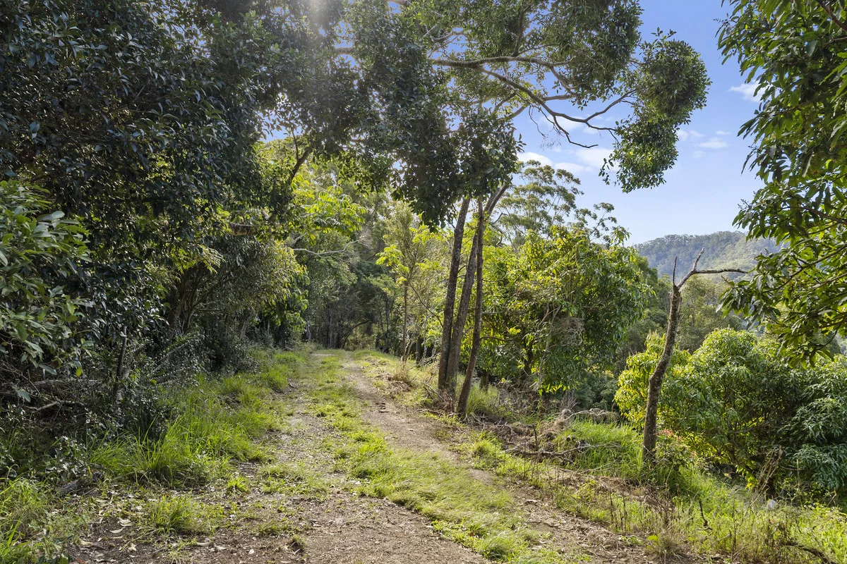 Additional image 7 of 536 Cudgera Creek Road, Cudgera Creek NSW 2484