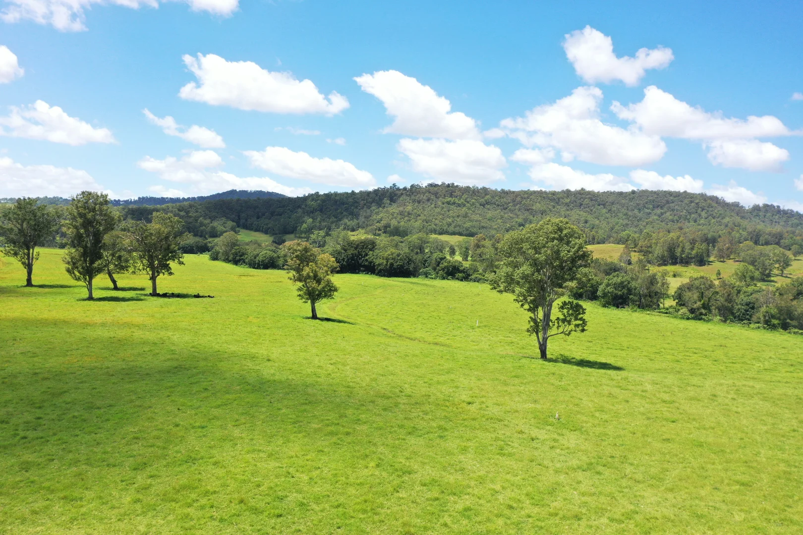 Additional image 30 of 1100 Iron Pot Creek & Ghinni Ghi Roads, Kyogle NSW 2474