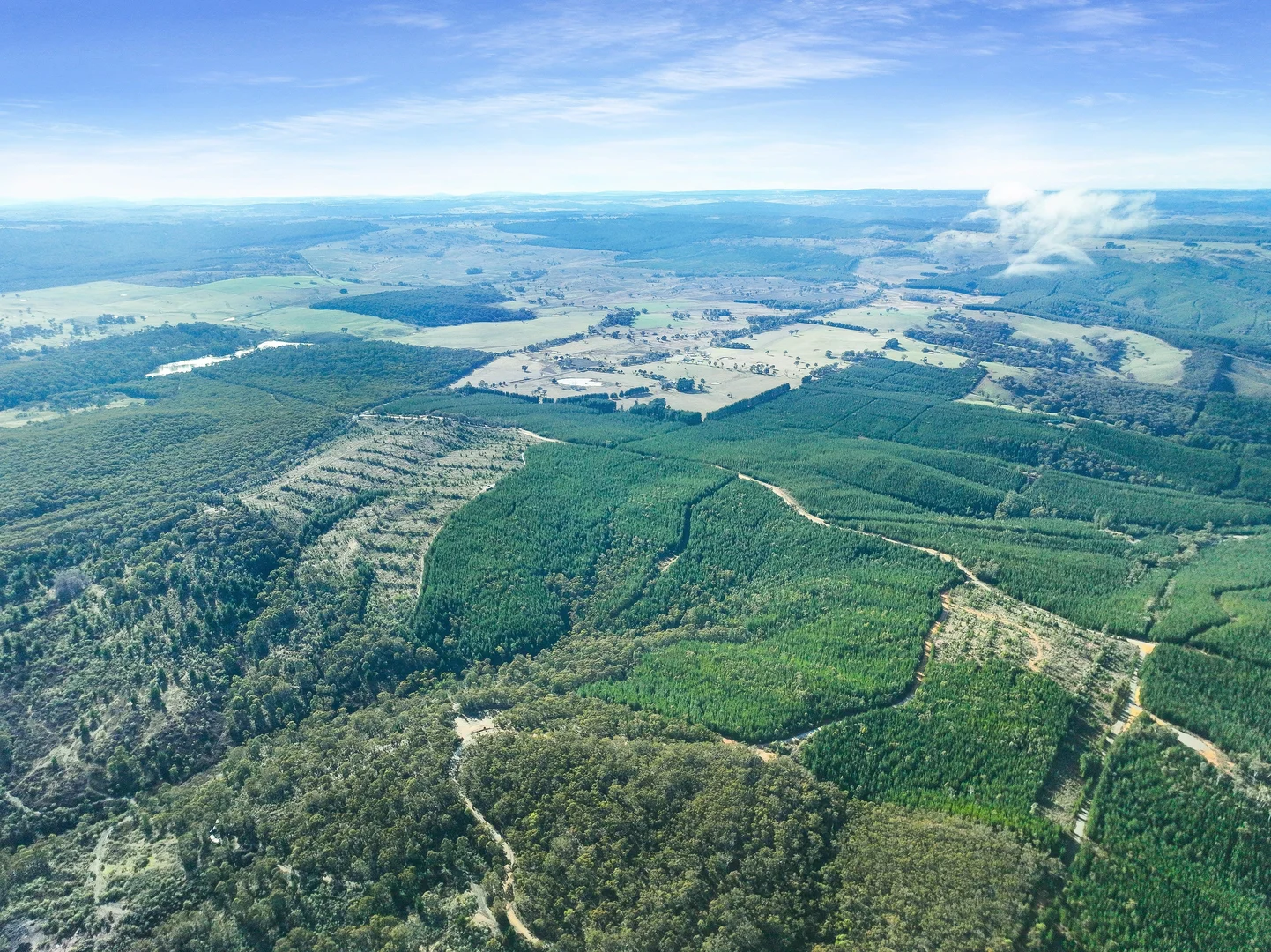 Additional image 7 of 3653 Arkstone Road, Burraga NSW 2795