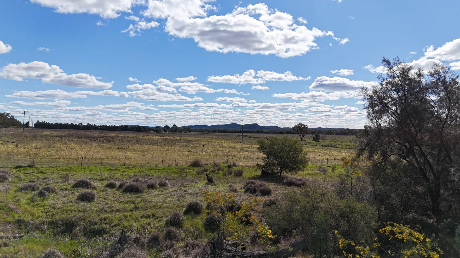 Additional image 55 of 3544 Henry Parkes Way, Bogan Gate NSW 2876