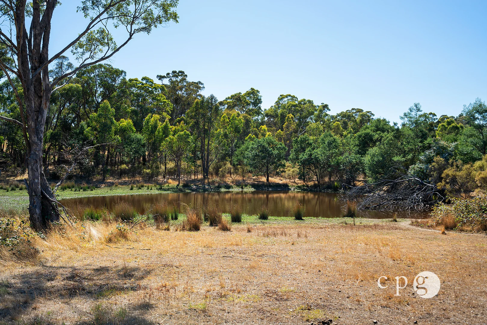 Additional image 10 of 17 Buntins Road, Elphinstone VIC 3448