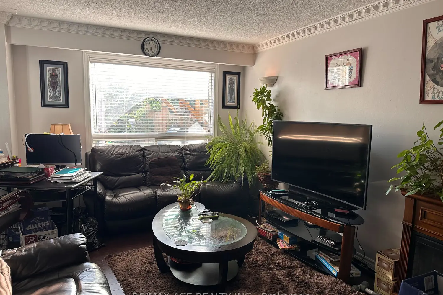 Additional image 11 of 247 Royal Salisbury Way