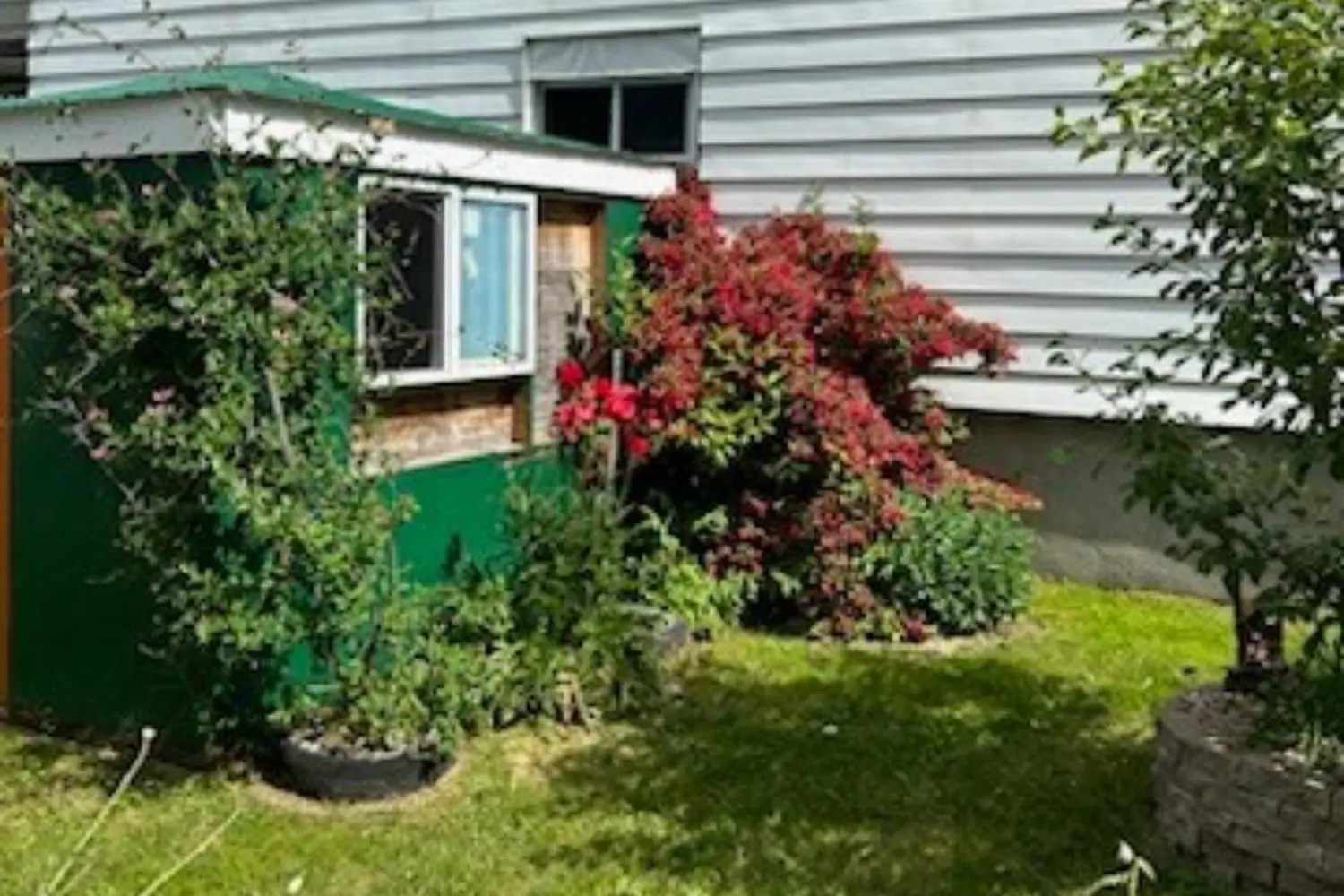 Additional image 17 of 310 Belmont Street