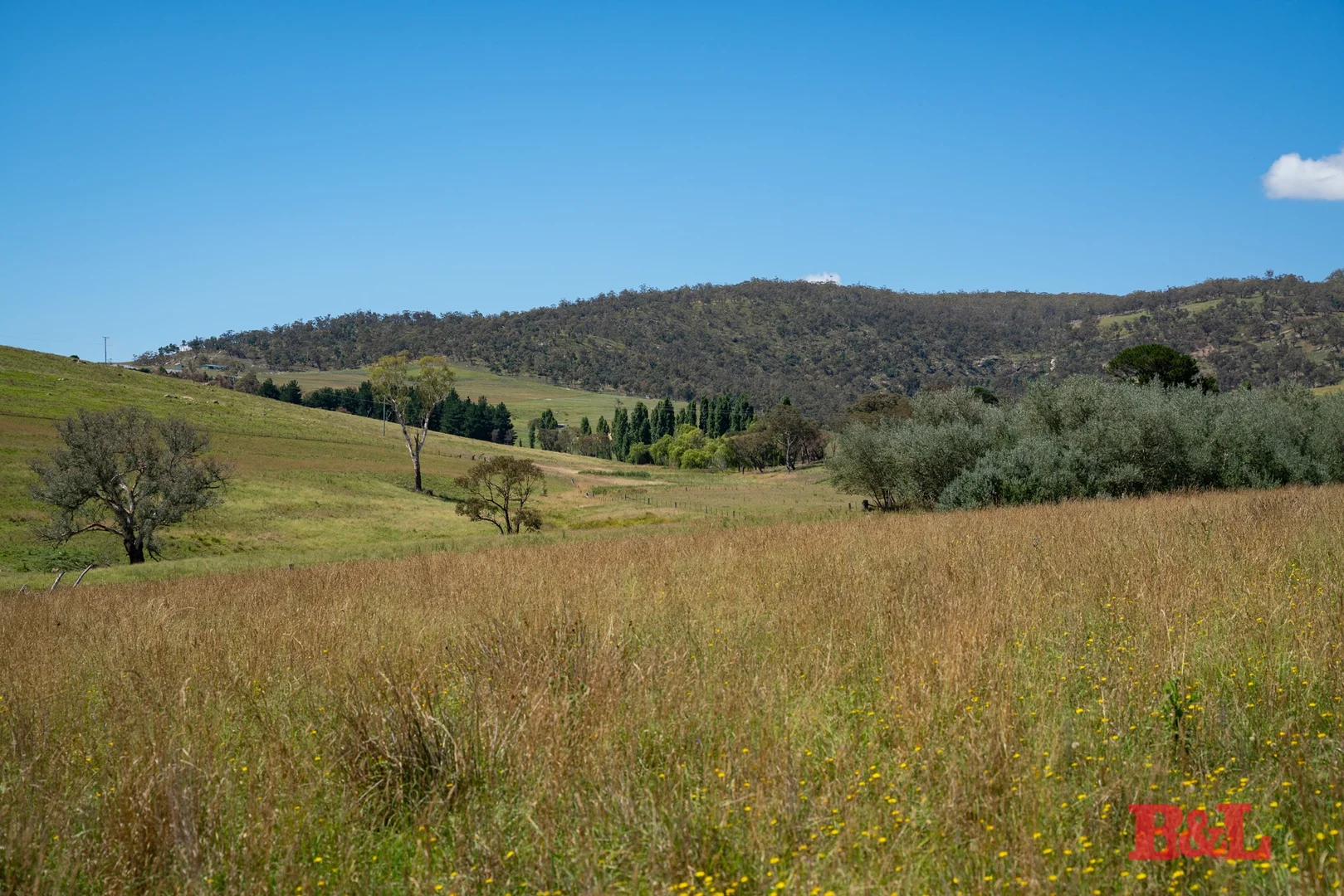 Additional image 34 of Lot 2 & 252 976 Sodwalls Road, Tarana NSW 2787